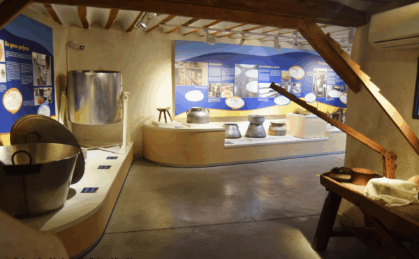 Ruta Cultural Completa de Manzanares: Descubre Museos, Historia y Naturaleza